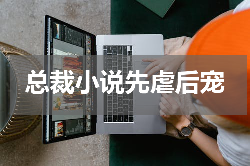 总裁小说先虐后宠