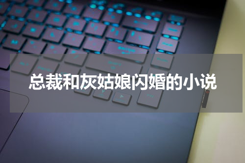 总裁和灰姑娘闪婚的小说