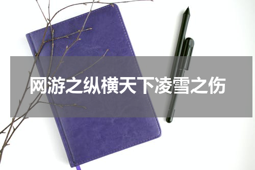 网游之纵横天下凌雪之伤
