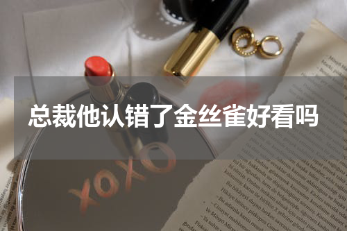 总裁他认错了金丝雀好看吗