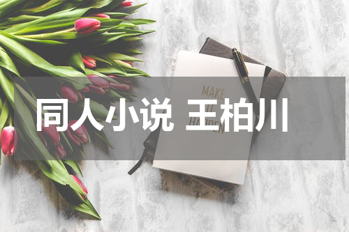 同人小说 王柏川