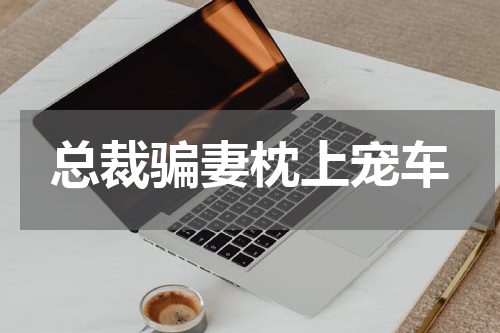 总裁骗妻枕上宠车