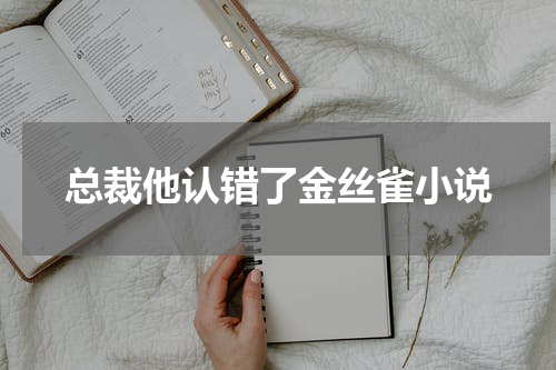 总裁他认错了金丝雀小说