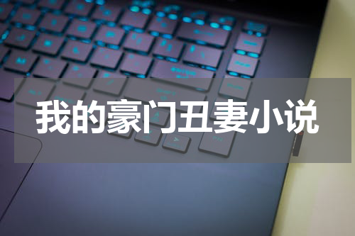 我的豪门丑妻小说