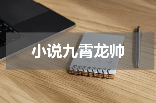 小说九霄龙帅