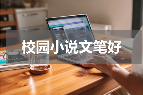 校园小说文笔好