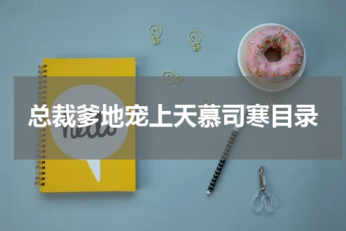 总裁爹地宠上天慕司寒目录