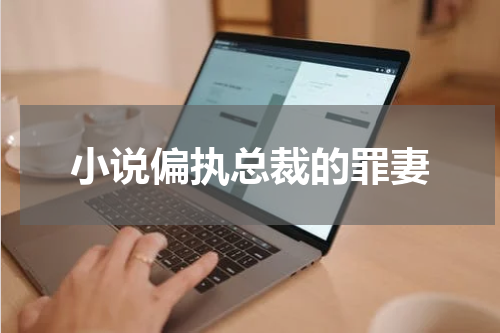 小说偏执总裁的罪妻