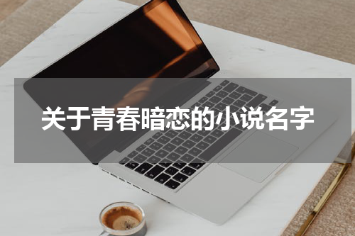 关于青春暗恋的小说名字