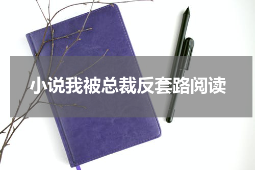小说我被总裁反套路阅读