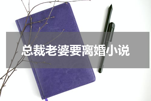 总裁老婆要离婚小说