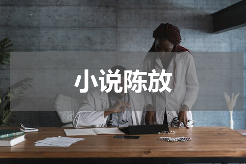 小说陈放