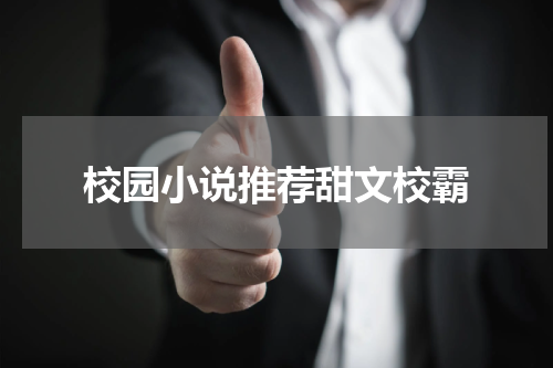 校园小说推荐甜文校霸