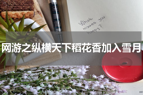 网游之纵横天下稻花香加入雪月