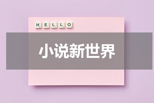 小说新世界