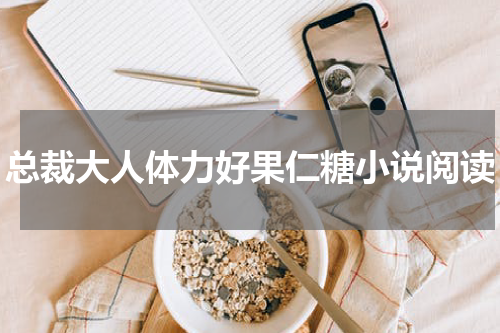 总裁大人体力好果仁糖小说阅读