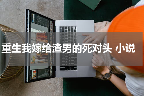 重生我嫁给渣男的死对头 小说