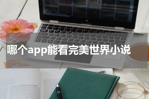 哪个app能看完美世界小说