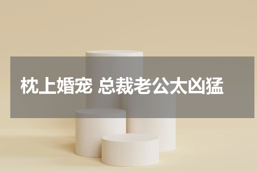 枕上婚宠 总裁老公太凶猛