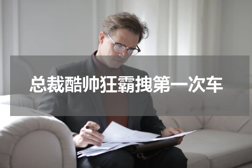 总裁酷帅狂霸拽第一次车
