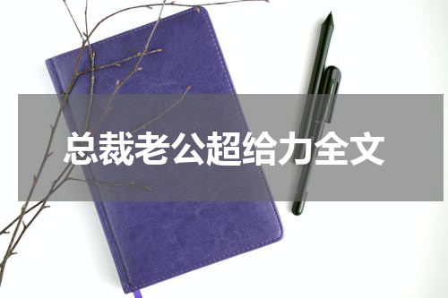 总裁老公超给力全文