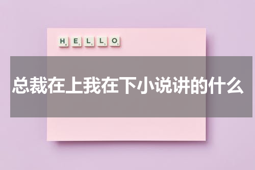 总裁在上我在下小说讲的什么
