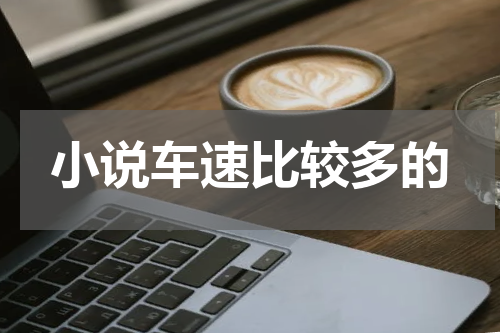 小说车速比较多的