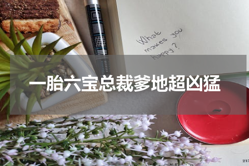 一胎六宝总裁爹地超凶猛