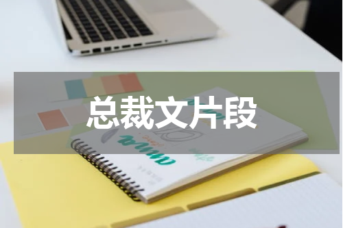 总裁文片段