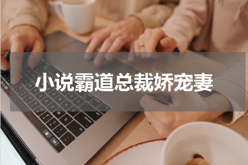 小说霸道总裁娇宠妻