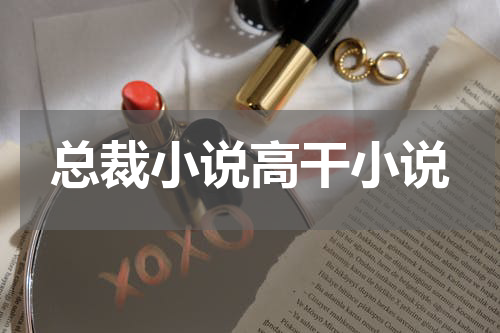 总裁小说高干小说