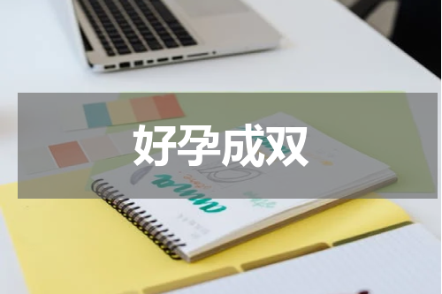 好孕成双