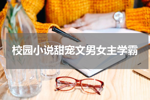 校园小说甜宠文男女主学霸