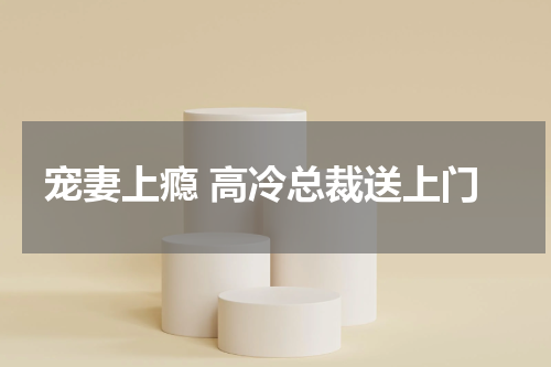 宠妻上瘾 高冷总裁送上门