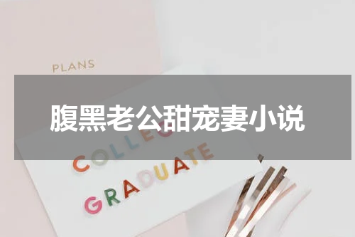 腹黑老公甜宠妻小说