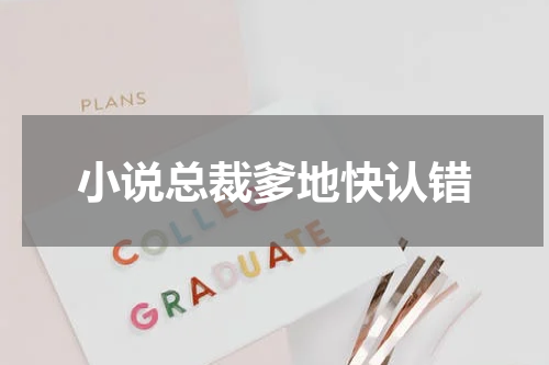 小说总裁爹地快认错