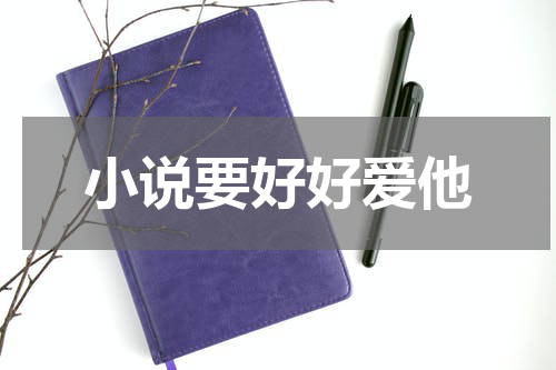 小说要好好爱他