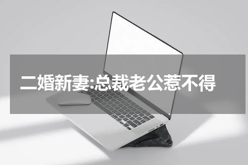 二婚新妻:总裁老公惹不得
