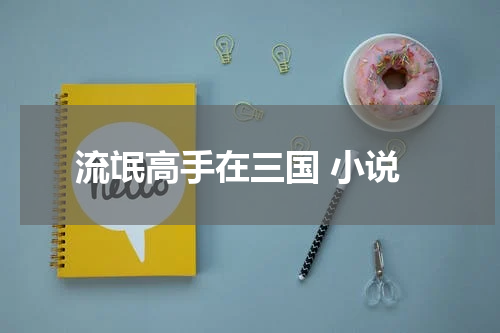 流氓高手在三国 小说