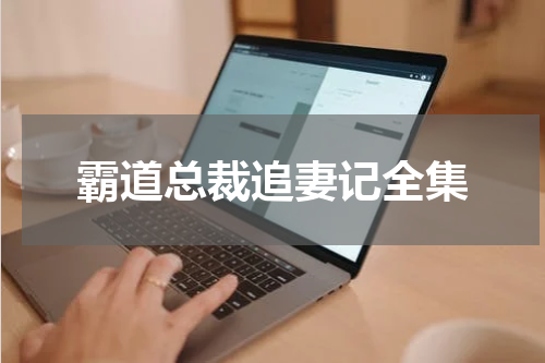 霸道总裁追妻记全集