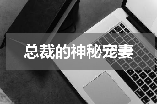 总裁的神秘宠妻