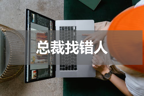 总裁找错人