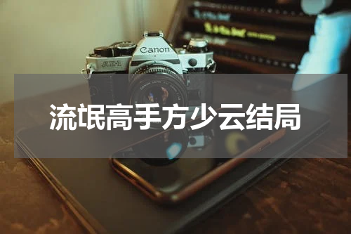 流氓高手方少云结局