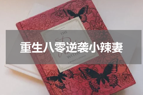 重生八零逆袭小辣妻