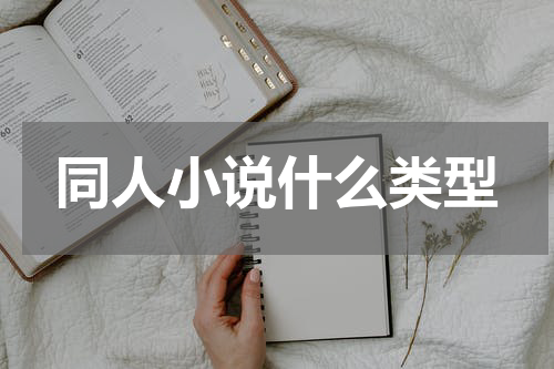 同人小说什么类型