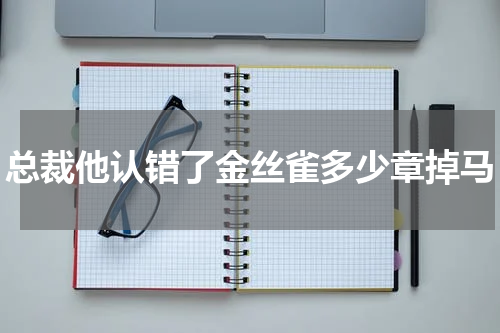总裁他认错了金丝雀多少章掉马