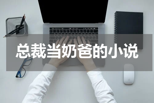 总裁当奶爸的小说