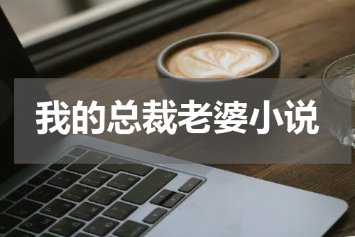 我的总裁老婆小说