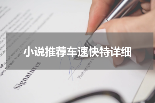 小说推荐车速快特详细