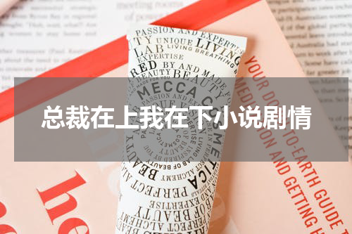 总裁在上我在下小说剧情